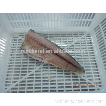 Frozen Scomber Japonicus Fish Pacific Mackerel Filet